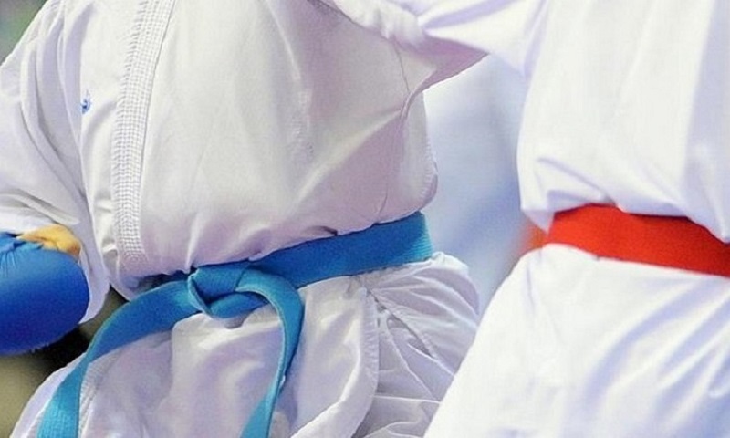 نشست آنلاین رئیس فدراسیون جهانی کاراته با اعضاء