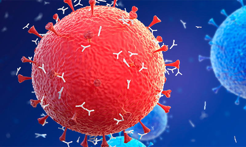 کمبود سلول T در افراد مسن مبتلا به کروناویروس شدید مرتبط است!