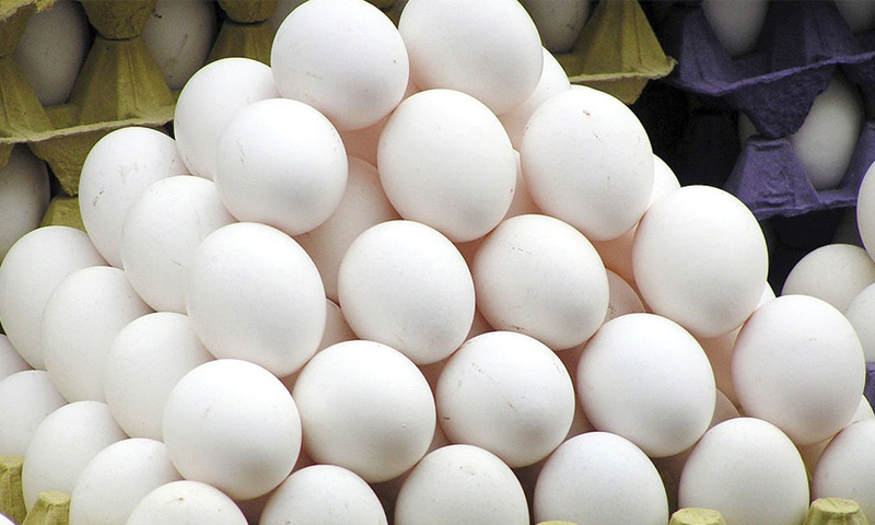 قیمت تخم مرغ در مرغداری ها 12000 تومان و برای مصرف کننده 14500 تومان
