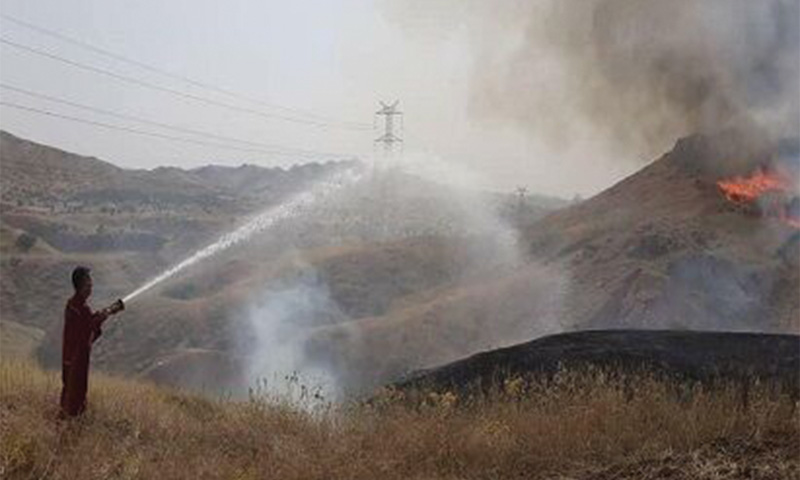 سازمان منطقه ویژه پارس آتش‌سوزی بیدخون را مهار کرد