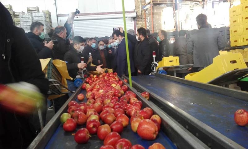 بازدید وزیر جهاد کشاورزی از کارخانه‌های بسته‌بندی محصولات کشاورزی و فرآوری عسل ارومیه