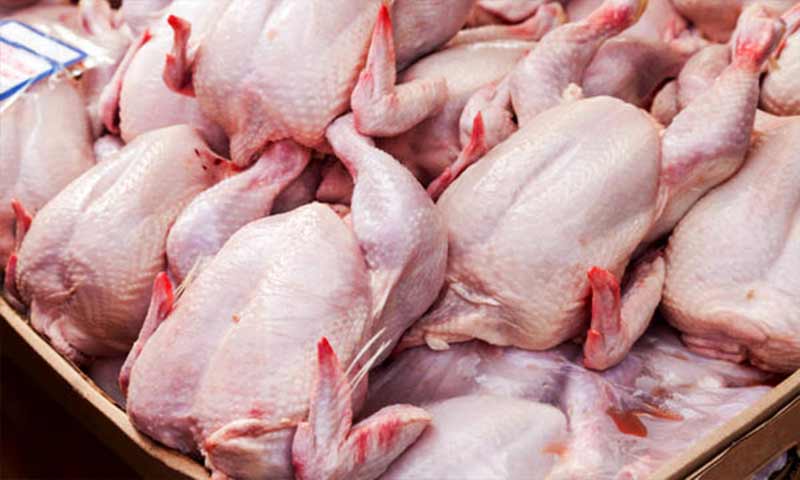 تولید بیش از ۸ هزار تن گوشت سفید در خرم بید