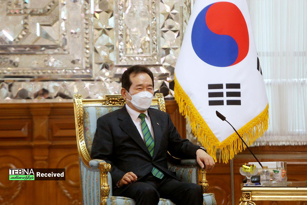 دیدار نخست وزیر کره جنوبی با رئیس مجلس شورای سلامی