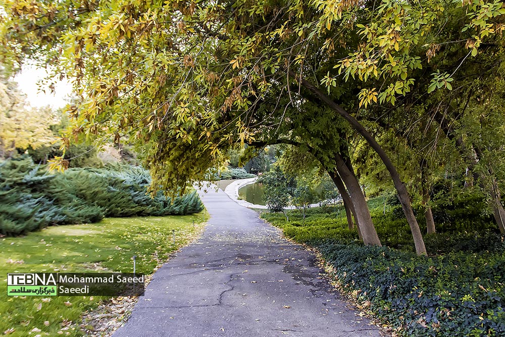 پاییز هزار رنگ باغ ملی گیاهشناسی