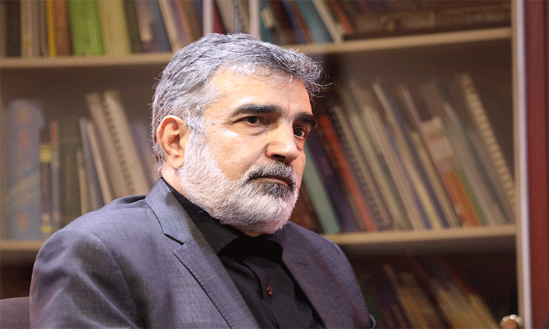 انتقال سخنگوی سازمان انرژی اتمی به تهران