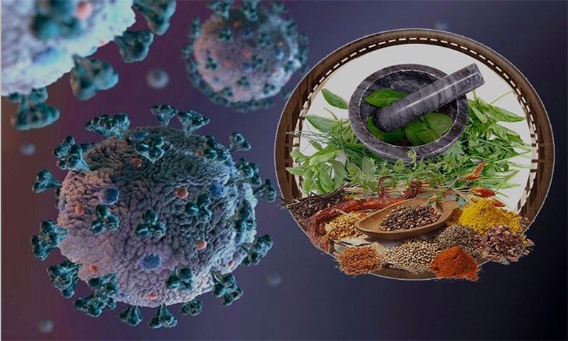 نقش فرآورده های گیاهی موثر در تقویت سیستم ایمنی برای پیشگیری و درمان کرونا