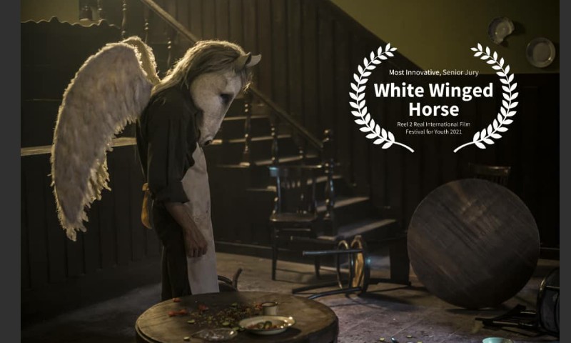 «اسب سفید بالدار» خلاقانه‌ترین فیلم جشنواره کانادایی شد