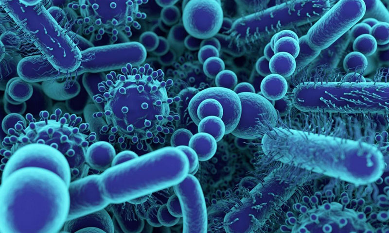 ویروس-آنتی‌بیوتیک ترکیب جادویی برای از بین بردن باکتری‌های مقاوم