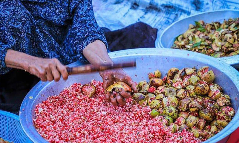 پاییز، فصل تهیه رب انار گلستان