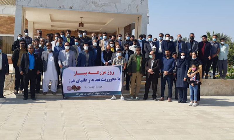 برگزاری روز مزرعه پیاز در شهرستان عنبرآباد برگزاری روز مزرعه پیاز در شهرستان عنبرآباد