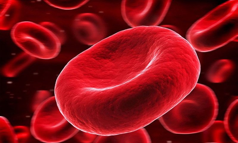 فرآورده ای با عمرکم و فواید زیاد