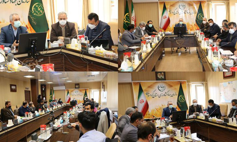71 میلیارد تومان غرامت بیمه محصولات كشاورزی در كردستان پرداخت شد